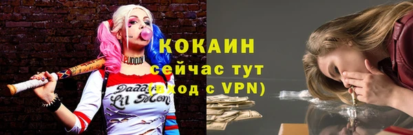 тгк Беломорск
