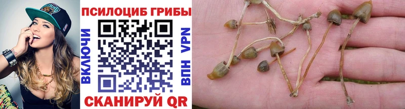 Галлюциногенные грибы прущие грибы  Лыткарино 