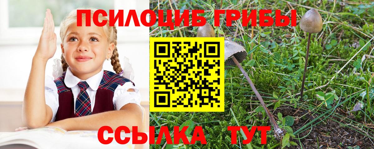 Псилоцибиновые грибы Psilocybine cubensis  Вход с VPN  Лыткарино 