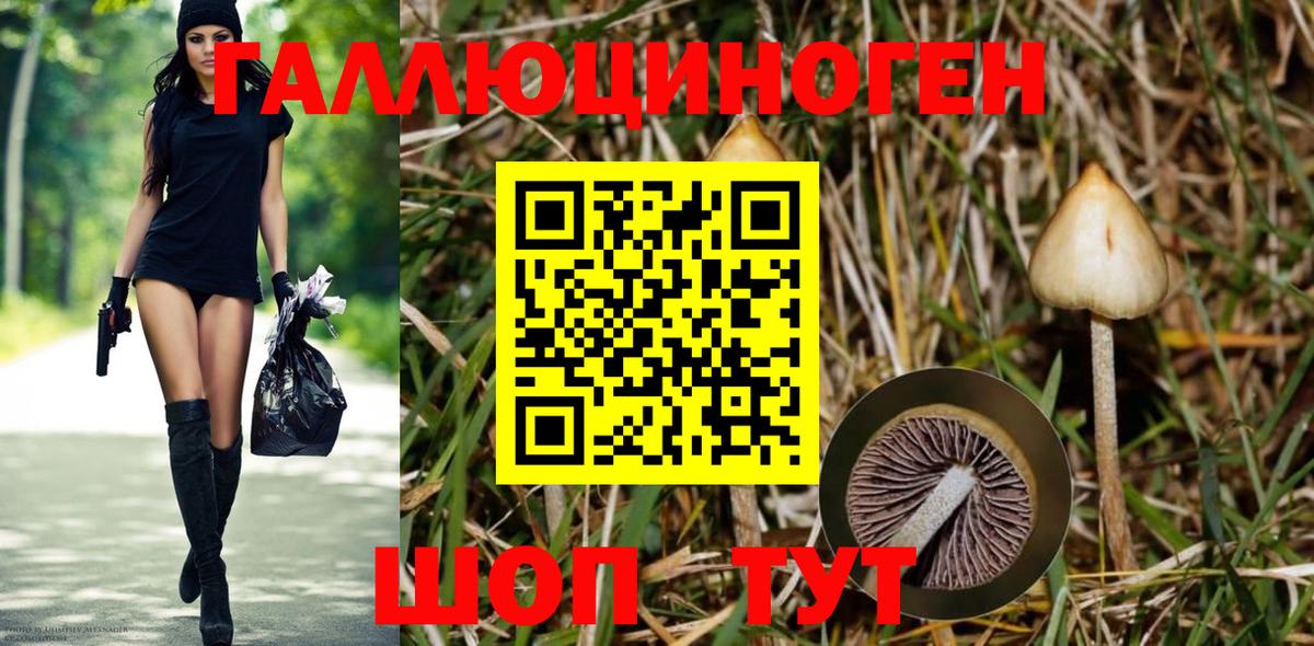 Псилоцибиновые грибы Magic Shrooms Лыткарино
